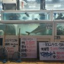 장보고회수산센타 이미지