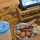 연산해수피아 이미지