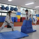 경희대 에이스태권도 이미지