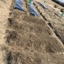 흥동 농장 이미지