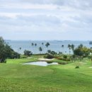 팜스프링스 이미지