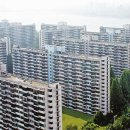 장미공인중개사사무소 이미지