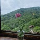 선류산장 이미지