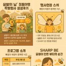 정동크레파스 | “꿀벌의 날” 정동야행 특별행사 생생 후기꿀벌의 소중함을 함께 나눈 하루, 정동에서 펼쳐진 달콤한...