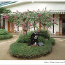 수원-0051 이미지