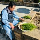 노인인지교구지도사 이미지