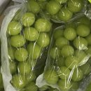 협동조합관악위즐 이미지