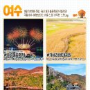 UR(파주시)-[책향기숲길]-하-13 | 2025년 11월 국내 여행지 추천 TOP 10