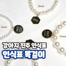 강아지 인식표 목걸이 고양이 진주 이름표 네임택 애리언니 가격