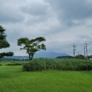 고인돌공원 티스토리