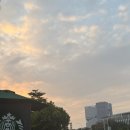 심천 | 25.12.03 심천 주차차지야 후기