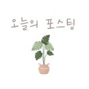 일상이꽃