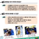 맛있는캠프