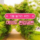 여의도 한강공원 놀거리 장미터널 산책 후기