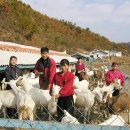 평남목장 이미지