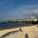 풍경의 바다 | [제주 애월] 슬로보트(slowboat): 액자 같은 풍경의 감성 바다뷰 카페