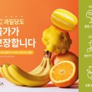 올가전