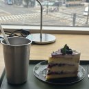 베이커리(BAKERY)신정2점 | [내돈내산] 콘하스 DDP점 카공하기 좋은 대형카페