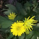 데미샘호수펜션 이미지