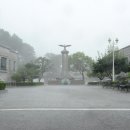 폭우, 청아공원 이상무 이미지