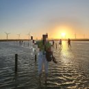 봉갑 | 타이중 고미습지 투어 내돈내산 추천 후기