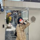 (주)시노텍스 | 시노텍스 마스크 S, n번째 구입 마스크 유목민 탈출 내돈내산 후기