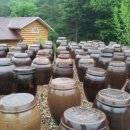 오세창농장 이미지