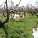 도연부동산공인중개사사무소 이미지