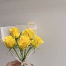 현대꽃집 티스토리