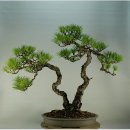 (주)문인 이미지