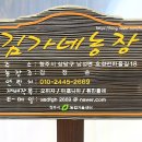 김가네농장 이미지
