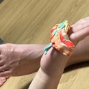 용평복지회관 | 포스코레지던스 온돌룸 / 평창한우마을 / 용평리조트 그린피아콘도 / 황태회관 / 토끼의숲 / 공룡해양랜드]