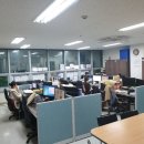 세무법인도담