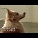터그 네이버블로그