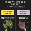 이가구
