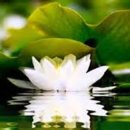 중생한의원 이미지