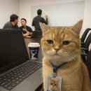 화양동거리_1 | [광진구] 주식 화양동점 _ 건대 본메로우 파스타 맛집, 퓨전술집 추천, 건대 와인바