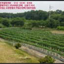 송계2리 마을회관 이미지