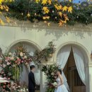 wedding ④ _ 비비스냅 / 본식 아이폰 스냅 계약 후기 (짝궁마감)