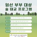 임신부부대상 숲 태교프로그램 참여 후기 (feat . 국립 칠곡 숲체원 &amp; 대구권역난임우울증 상담센터)