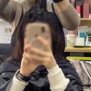 쉽게 시작하는 디지털 디자인: 픽슬러 활용 | 가늘고 힘없는 모발을 과학적으로 살려낸 아이롱펌 실험실급 내돈내산 리얼 리뷰