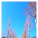 추억더하기 이미지