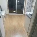 울릉푸른나무