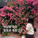 세븐일레븐 홍대6번출구점 | 연남동 경의선숲길 장미 명소 포토존 추천 2곳 막차 타세요~