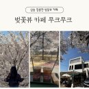 삼송 창릉천 서울 근교 벚꽃뷰 카페 무크무크 후기