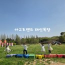 (주)수레와바퀴 | 충남 아이랑 봄 여행지 아그로랜드 태신목장 겹벚꽃 수레국화