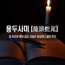 용두사미 (龍頭蛇尾) 이미지