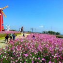 대부바다향기 테마파크 이미지