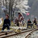 문경철로자전거 Daum카페