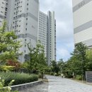 군포대박공인중개사사무소 | 군포 아파트 매매 송정지구 숲속반디채 25평 임장 후기